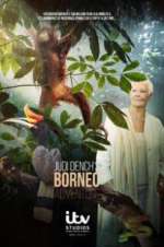 Watch Judi Dench\'s Wild Borneo Adventure FMoviesFree