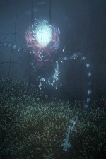 Watch Into the Universe with Stephen Hawking FMoviesFree