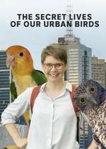 Watch The Secret Lives of Our Urban Birds FMoviesFree