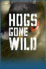 Watch Hogs Gone Wild FMoviesFree