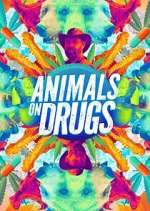 Watch Animals on Drugs FMoviesFree