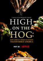 Watch High on the Hog: How African American Cuisine Transformed America FMoviesFree