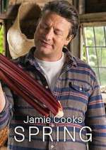 Watch Jamie Cooks Spring FMoviesFree