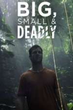Watch Big, Small & Deadly FMoviesFree