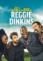 the fall and rise of reggie dinkins season 1 episode 1 tv poster
