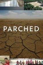 Watch Parched FMoviesFree