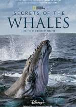 Watch Secrets of the Whales FMoviesFree