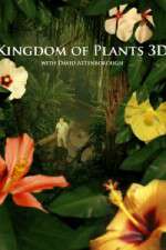 Watch Kingdom of Plants 3D FMoviesFree