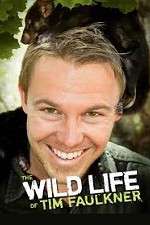Watch The Wild Life of Tim Faulkner FMoviesFree
