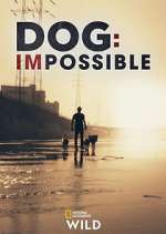 Watch Dog: Impossible FMoviesFree