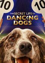 Watch The Secret Life of Dancing Dogs FMoviesFree