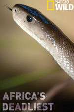 Watch Africas Deadliest FMoviesFree