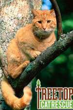 Watch Treetop Cat Rescue FMoviesFree