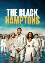 Watch Carl Weber's The Black Hamptons FMoviesFree