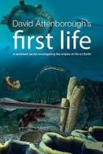 Watch David Attenborough's First Life FMoviesFree