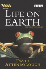 Watch Life on Earth FMoviesFree