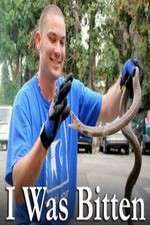 Watch I Was Bitten FMoviesFree