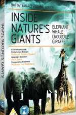 Watch Inside Nature's Giants FMoviesFree