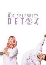 Watch The Big Celebrity Detox FMoviesFree