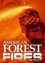 Watch American Forest Fires: The Untold Story FMoviesFree