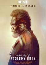 Watch The Last Days of Ptolemy Grey FMoviesFree