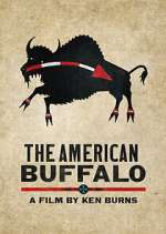 Watch The American Buffalo FMoviesFree