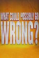 Watch What Could Possibly Go Wrong FMoviesFree