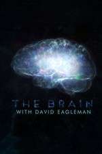 Watch The Brain with Dr David Eagleman FMoviesFree